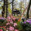 苏州旅游 缩略图 12