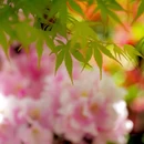 苏州旅游 缩略图 14