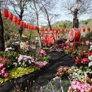 苏州旅游 缩略图 15