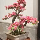 苏州旅游 缩略图 14