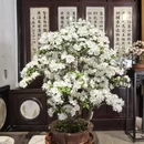 苏州旅游 缩略图 18