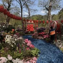 苏州旅游 缩略图 7