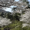 苏州旅游 缩略图 6