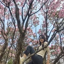 吉安旅游 缩略图 6