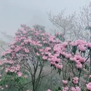 吉安旅游 缩略图 4