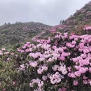 吉安旅游 缩略图 2