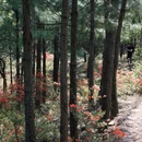 苏州旅游 缩略图 14
