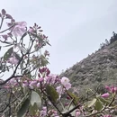 吉安旅游 缩略图 7