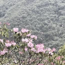 吉安旅游 缩略图 8