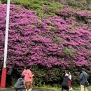 吉安旅游 缩略图 7