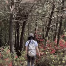 苏州旅游 缩略图 7