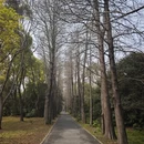 苏州旅游 缩略图 5