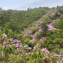 吉安旅游 缩略图 2