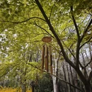 苏州旅游 缩略图 7