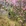 吉安