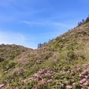 吉安旅游 缩略图 3