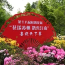 苏州旅游 缩略图 11