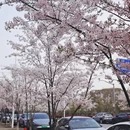 苏州旅游 缩略图 8