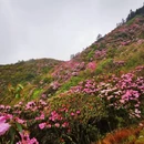 吉安旅游 缩略图 1