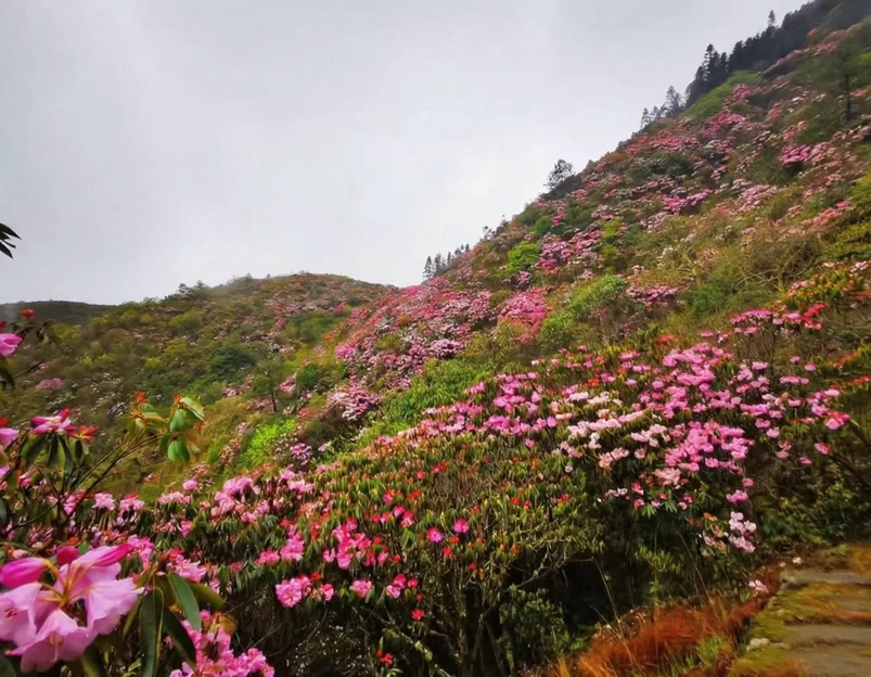 吉安旅游 1