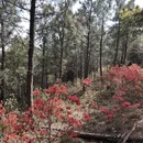 苏州旅游 缩略图 9