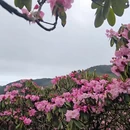 吉安旅游 缩略图 2