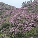 吉安旅游 缩略图 3