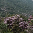 吉安旅游 缩略图 5