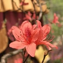 苏州旅游 缩略图 14