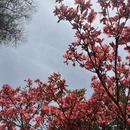 吉安旅游 缩略图 2