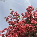 吉安旅游 缩略图 3