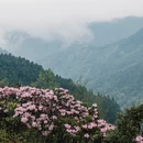 吉安旅游 缩略图 7