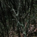 吉安旅游 缩略图 8