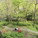 苏州旅游 缩略图 8