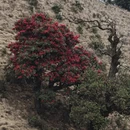 昆明旅游 缩略图 3