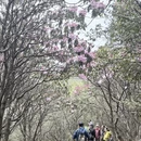 吉安旅游 缩略图 12