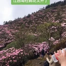 吉安旅游 缩略图 8