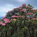 吉安旅游 缩略图 7