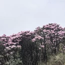 吉安旅游 缩略图 11
