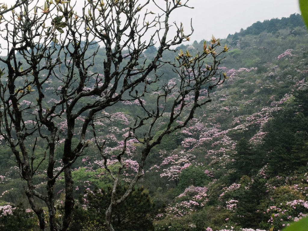 吉安旅游