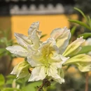 苏州旅游 缩略图 5