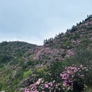 吉安旅游 缩略图 10