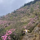 吉安旅游 缩略图 11