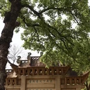 苏州旅游 缩略图 3