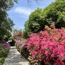 武汉旅游 缩略图 13