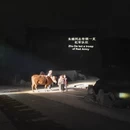 吉安旅游 缩略图 14