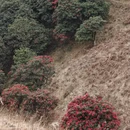 昆明旅游 缩略图 14