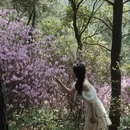 苏州旅游 缩略图 2