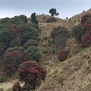 昆明旅游 缩略图 16