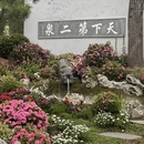 苏州旅游 缩略图 7